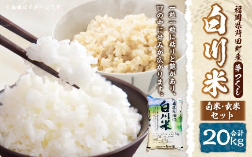 【新米先行予約】白川米 ( 夢つくし )  白米 ・ 玄米 セット 合計20kg お米 精米【2025年10月下旬から順次発送予定】