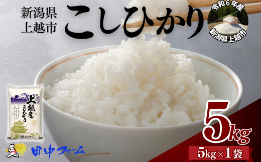 上越市産 新潟 コシヒカリ　5kg  上越市 精米 米 コメ こしひかり ブランド米