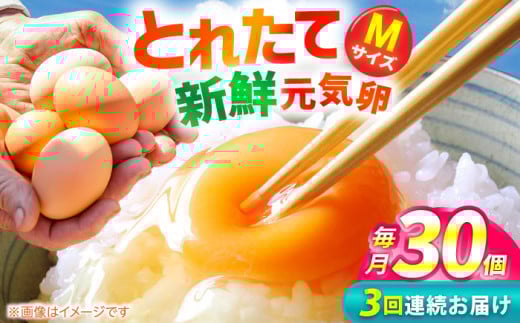 【3回定期便】お茶と海藻で健康育ち 元気卵 90個（30個×3回） / たまご タマゴ 玉子 鶏卵 / 亀山市 / 藪本養鶏園 [AMBH002] 1215320 - 三重県亀山市