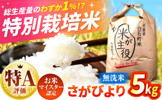 【令和7年度産】【こだわりの特別栽培！】無洗米 さがびより 5kg 【有限会社定松ファーム】 [IBV002]