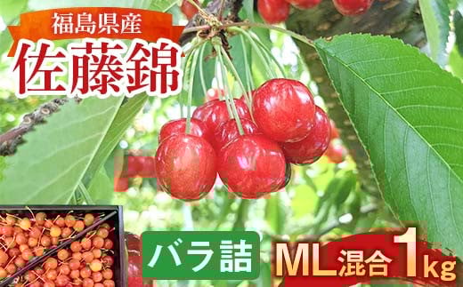 さくらんぼ ＜佐藤幸男農園＞ 佐藤錦 ML混合 1kg バラ詰 F7X-0220 1340925 - 福島県須賀川市