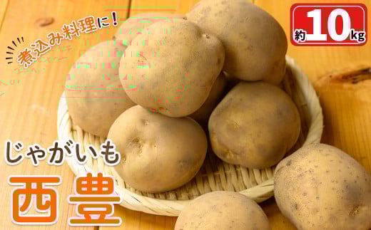 [先行予約受付中!12月中旬〜2月中旬発送予定]じゃがいも 西豊(約10kg)[sm-DI002][大原茂美]