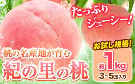 桃 和歌山県産 紀の里の桃 約1kg (3-5玉)《2025年6月中旬-8月中旬頃出荷》 2025年 先行予約 紀の里の桃 白鳳 日川白鳳 なつっこ 清水白桃 川中島白桃 八旗白桃 和歌山 もも 一万円以下 10,000円以下