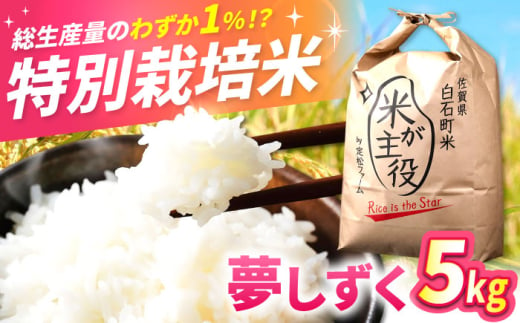 【令和7年度産】【こだわりの特別栽培！】 夢しずく 5kg 【有限会社定松ファーム】 [IBV003]