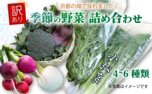 訳あり 京都 季節の野菜 セット 4～6品 詰め合わせ 小松菜 ルッコラ わさび菜 菊菜 ねぎ なす 大根 ブロッコリー トマト 久御山 野菜 サラダ おひたし 鍋  食育 