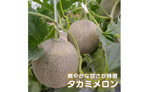 ９５８．タカミメロン4kg前後（中玉3～4玉入り）《検索用ワード:くだもの 果物 めろん 舐瓜》