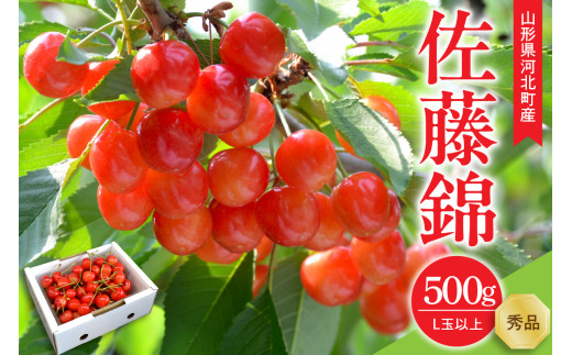 【令和8年産】さくらんぼ 佐藤錦 500g L玉以上 ギフト箱入 秀品 山形県産【山形eLab】フルーツ 人気 贈答 ふるさと納税 河北町 2026年産 ka074-032