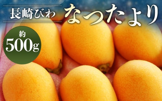 【数量限定】 長崎びわ なつたより 赤秀 計約500g 【2025年5月上旬～2025年5月下旬迄発送予定】 びわ 枇杷 ビワ