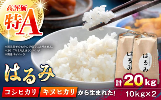 【特Aランク受賞実績あり！】はるみ 20kg(10kg×2袋)【遠藤ファーム】開成町 米 ご飯 白米 お米 特A [BDAF003]