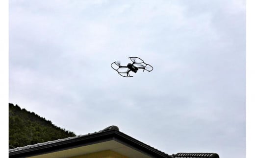 ドローンでの実家屋根・外壁点検サービス券30,000円分 2023654 - 広島県廿日市市