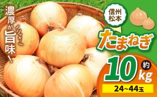 【先行受付】たまねぎ 24~44玉 約10㎏|ふるさと納税 松本市 たまねぎ 玉葱 サラダ 農家 料理 自然 ビタミン 豊富 地元 新鮮 2005825 - 長野県松本市