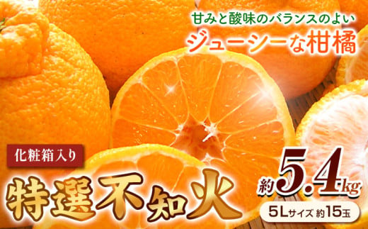 特選 不知火 ( デコポン )と同品種 約5.4kg（5Lサイズ15玉） 長岡農園《2025年2月中旬-4月上旬頃出荷》和歌山県 日高川町 果物 フルーツ 柑橘 不知火 しらぬい デコポン と同品種 旬 柑橘 フルーツ 果物 約5.4kg