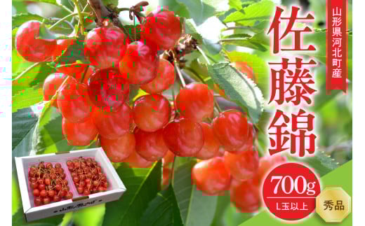 【令和8年産】さくらんぼ 佐藤錦 700g(350g×2パック) L玉以上 ギフト箱入 秀品 山形県産【山形eLab】フルーツ 人気 贈答 ふるさと納税 河北町 2026年産 ka074-033