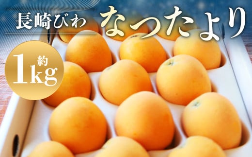 【数量限定】 長崎びわ なつたより 赤秀 計約1kg 【2025年5月上旬～2025年5月下旬迄発送予定】 びわ 枇杷 ビワ