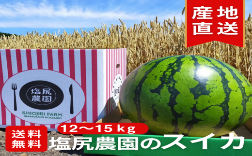 夏の至福スイカ 特L12kg~15kg 323549 - 北海道中富良野町