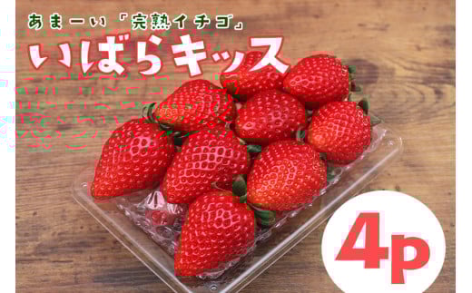 完熟いちご 「 いばらキッス 」4p  1kg 以上 完熟 いちご 4パック 甘い 高糖度 春 苺 旬 フルーツ 果物 デザート ギフト 贈答用 国産 朝採れ 新鮮 産地直送 茨城県 石岡市 (A31-006)