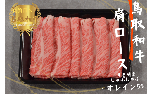 鳥取和牛オレイン55 肩ロース しゃぶしゃぶすき焼き 計1kg（500g×2）牛肉 やまのおかげ屋 KF1268 1135