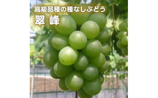 ９６１．翠峰(すいほう)（900ｇ前後）《検索用ワード:くだもの 果物 ぶどう ブドウ 葡萄》