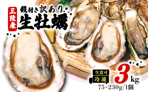 【先行予約】訳あり 牡蠣 3kg (生食可) 6月より順次発送 かき カキ 冷凍 岩手県産 殻付き 生食 生食用 訳あり わけあり 大きさ不揃い 不揃い 三陸 三陸産 株式会社國洋 岩手県 大船渡市