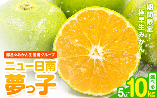 みかん ニュー日南 (夢っ子) 選べる 5kg 10kg 都呂々みかん生産者グループ[9月中旬-10月上旬頃出荷]フルーツ 果物 くだもの 柑橘 柑橘類 蜜柑 熊本県 苓北町 st-p