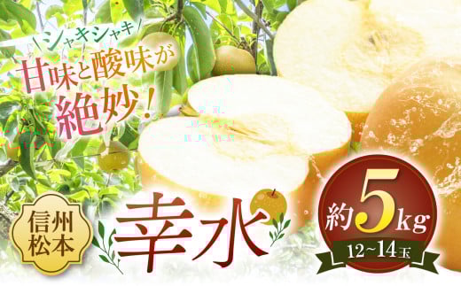 【先行受付】幸水 12~14玉 約5㎏|ふるさと納税 松本市 幸水 果物 フルーツ 梨 なし ジューシー 果肉 信州産 美味しい 人気 2005820 - 長野県松本市