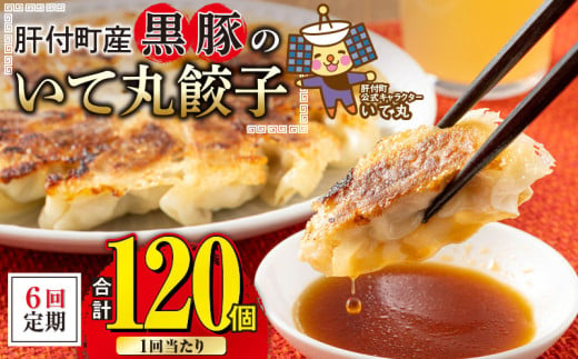 C43022 ＜定期便・全6回＞ 鹿児島県 肝付町産 黒豚 餃子 ギョーザ (1回120個・12個入 10パック) ぎょうざ たれ付き パリパリ もちもち ジューシー おかず 弁当 冷凍 冷凍食品 中華 豚肉 国産【財宝】