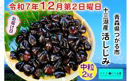 [令和7年12月第2日曜日配達] さとうしじみ屋の十三湖産活しじみ(中粒2kg)[冷蔵]｜十三湖産 青森 津軽 つがる しじみ みそ汁 味噌汁 しじみ汁 活しじみ 冷蔵 [0805] 1500686 - 青森県つがる市