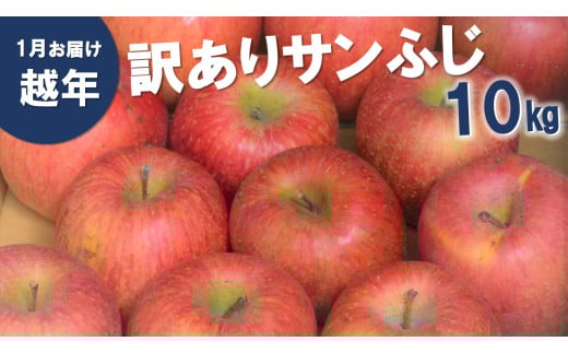 越年自家用サンふじ 10kg ※翌年1月中旬頃~配送予定です。