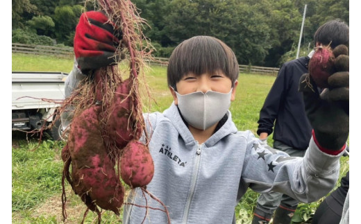 アイテムID:374068の画像3枚目