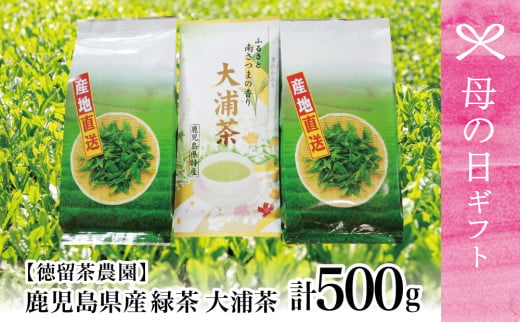 【母の日ギフト】鹿児島県産緑茶 大浦茶 3本セット 計500g 鹿児島県産 かごしま お茶 日本茶 緑茶 茶葉 徳留茶農園 南さつま市 贈り物 ギフト 贈答用