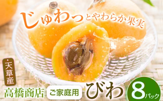 天草産 びわ 約 2kg (約250g×8パック) 《5月中旬-6月中旬頃出荷》 家庭用 フルーツ くだもの 果物 びわ ビワ 枇杷 熊本県 苓北町 高橋商店 631517 - 熊本県苓北町