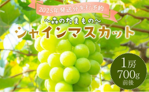 2025年発送分 先行予約＜～森のたまもの～＞朝採り直送！シャインマスカット 1房700g前後【025-a026】