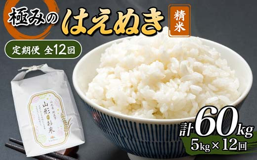 定期便 全12回 極みのはえぬき（精米）5kg 米 お米 おこめ 山形県 F3S-2421 966545 - 山形県新庄市