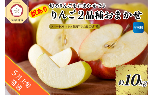 【2025年5月上旬発送】【訳あり】りんご 約10kg 青森産 【おまかせ2品種】【スマートフレッシュ貯蔵またはCA貯蔵・クール便】