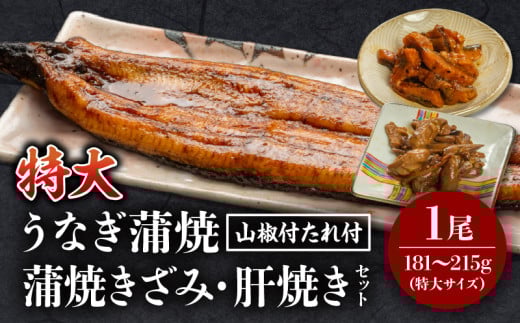 《2025年8月発送予定》国産うなぎ蒲焼(特大サイズ)・きざみ・肝焼きセット_M069-014_01-aug 2154211 - 宮崎県宮崎市