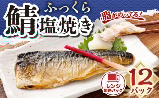 ふっくら鯖塩焼き レンジ加熱パック12食入 ｜ 鯖 サバ さば 塩焼き おかず 冷凍 茨城県 神栖市 1590099 - 茨城県神栖市