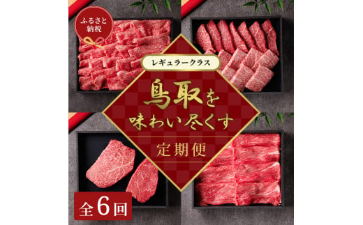 ９９０．【和牛セレブ（鳥取和牛定期便：6回）】レギュラークラス《検索用ワード:牛肉 すき焼き ステーキ しゃぶしゃぶ 焼き肉 焼肉》