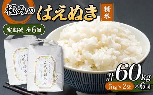 定期便 全6回 極みのはえぬき（精米）5kg×2 米 お米 おこめ 山形県 新庄市 F3S-2417 966546 - 山形県新庄市