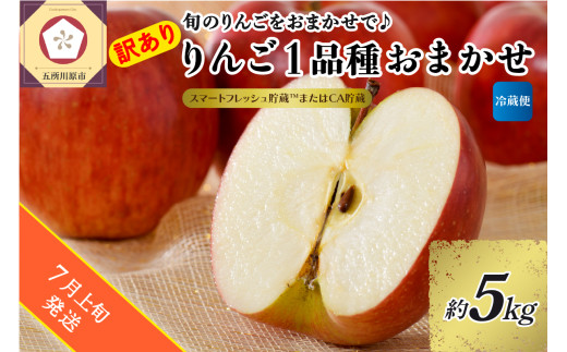 【2025年7月上旬発送】【訳あり】りんご 約5kg 青森産 【おまかせ1品種】【スマートフレッシュ貯蔵またはCA貯蔵・クール便】