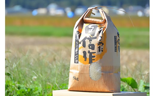 米 令和7年 特別栽培米 雪若丸 5kg [遠藤農園 山形県 高畠町 tk06ayt120000] 5キロ お米 ブランド米 ごはん ご飯 白米 精米 こめ