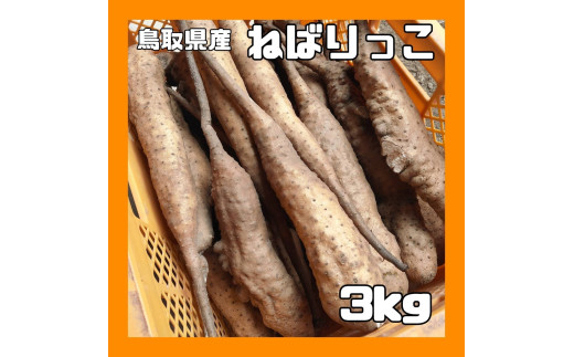 ９８４．【訳あり】ねばりっこ　3kg程度《検索用ワード:長芋・とりたて・とろろ・ねばり・山芋》