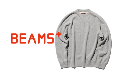 ふるさと納税 服 長野県 安曇野市  BEAMS PLUS スウェットプルオーバー フーディ　アッシュ　Lサイズ Lサイズ（アッシュ） BEAMS PLUS】 スウェットクルー アッシュ XLサイズ - 長野県