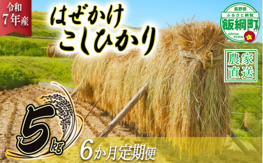 米 はぜかけ こしひかり 5kg × 6回 【 6か月 定期便 】( 令和7年産 ) 増田さんちのお米 沖縄県への配送不可 2025年11月上旬頃から順次発送予定 コシヒカリ 白米 精米 お米 信州 予約 農家直送 長野県 飯綱町 [0816]