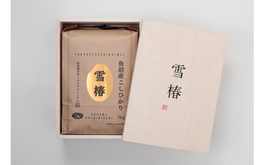 【2025年産新米】【木箱入り】最高級魚沼産コシヒカリ「雪椿」5kg (5kg×1袋)  特別栽培米 1109262 - 新潟県津南町