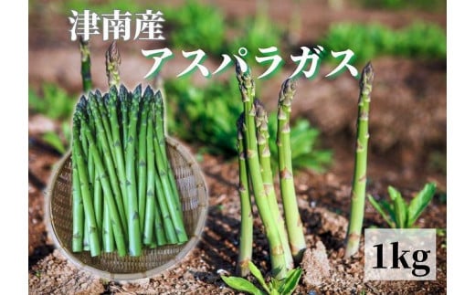 【新潟県 津南町産】朝取りアスパラガス バラ詰め（L～2Lサイズ）1kg 925621 - 新潟県津南町