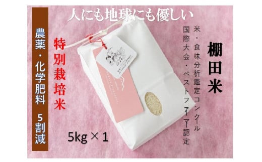 【2025年産新米】【農薬化学肥料5割減】魚沼産コシヒカリ 苗場プリンセス 特別栽培米 精米 5kg（5kg×1袋） 714301 - 新潟県津南町