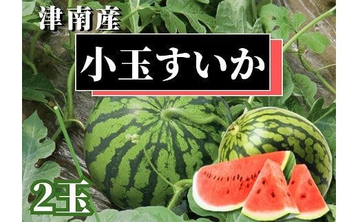 【新潟県 魚沼 津南町産】小玉スイカ 2玉 899768 - 新潟県津南町