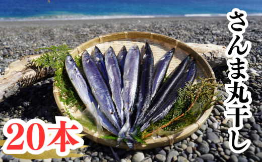 さんま丸干し　20本　魚作商店3代目の丸干し製法