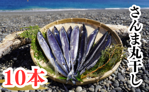 さんま丸干し　10本　魚作商店3代目の丸干し製法