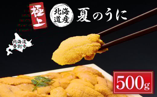 先行予約 極上！北海道産キタムラサキウニ折詰 500g 折り詰め うに 高級 ウニ 雲丹 生ウニ  人気 ふるさと納税 北海道 登別市 ※2025年6月下旬～順次発送